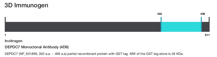 DEPDC7 Monoclonal Antibody (4D9)