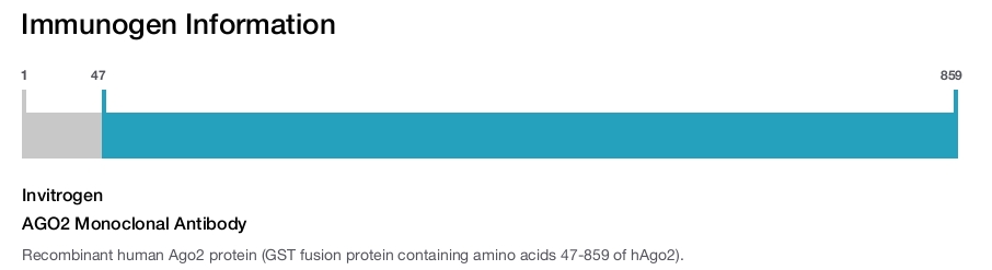 AGO2 Monoclonal Antibody