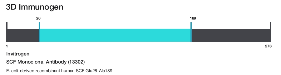 SCF Monoclonal Antibody (13302)