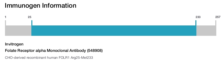 ★Rinco2 Folate Receptor alpha Monoclonal Antibody (548908) (MA5-23917)