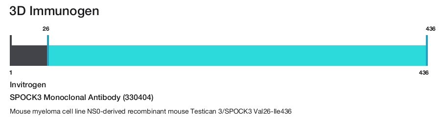 SPOCK3 Monoclonal Antibody (330404)