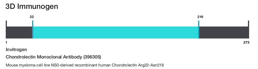 Chondrolectin Monoclonal Antibody (396305)