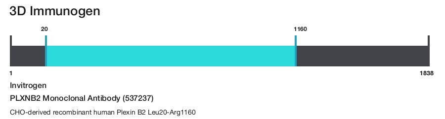 PLXNB2 Monoclonal Antibody (537237)