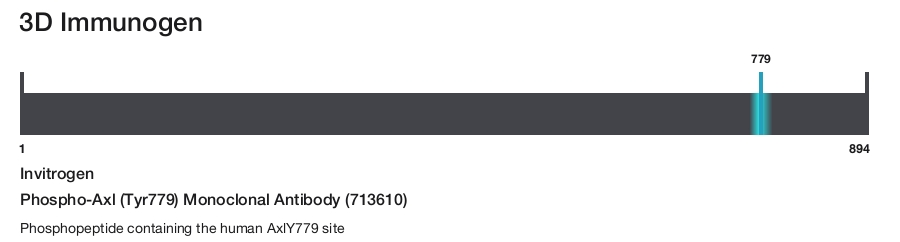 Phospho-Axl (Tyr779) Monoclonal Antibody (713610)