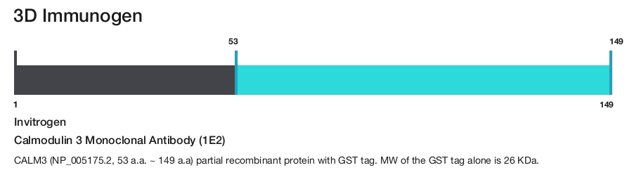 Calmodulin 3 Monoclonal Antibody (1E2)