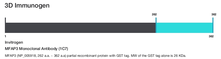 MFAP3 Monoclonal Antibody (1C7)