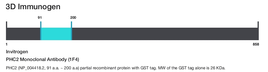 PHC2 Monoclonal Antibody (1F4)