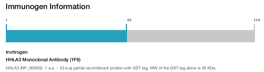HHLA3 Monoclonal Antibody (1F6)