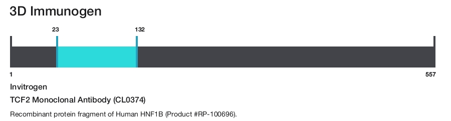 TCF2 Monoclonal Antibody (CL0374)