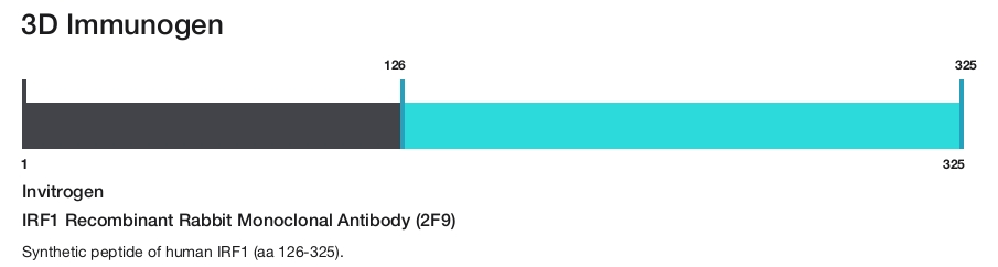 IRF1 Recombinant Rabbit Monoclonal Antibody (2F9)