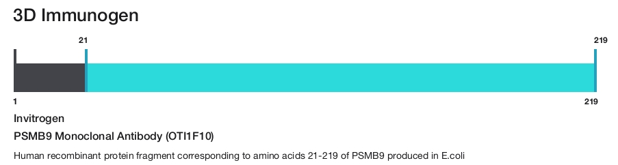 PSMB9 Monoclonal Antibody (OTI1F10)