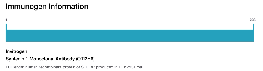 Immunogen Image Syntenin 1 Monoclonal Antibody (OTI2H6)