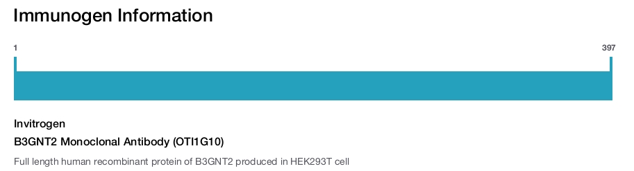 B3GNT2 Monoclonal Antibody (OTI1G10)