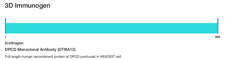 DPCD Monoclonal Antibody (OTI8A12)