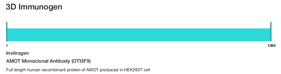 AMOT Monoclonal Antibody (OTI3F9)