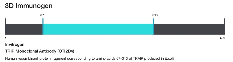 TRIP Monoclonal Antibody (OTI2D4)