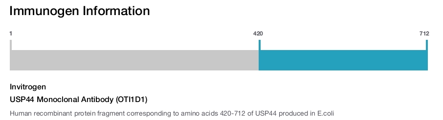 USP44 Monoclonal Antibody (OTI1D1)