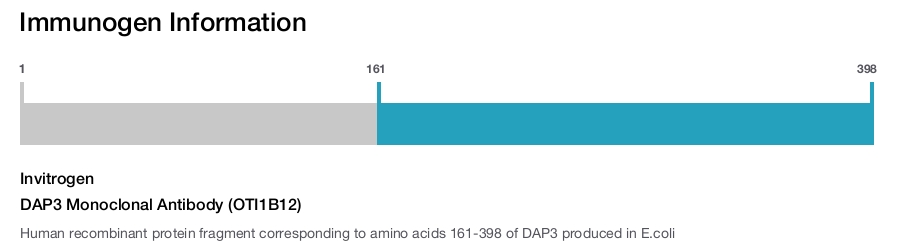 DAP3 Monoclonal Antibody (OTI1B12)
