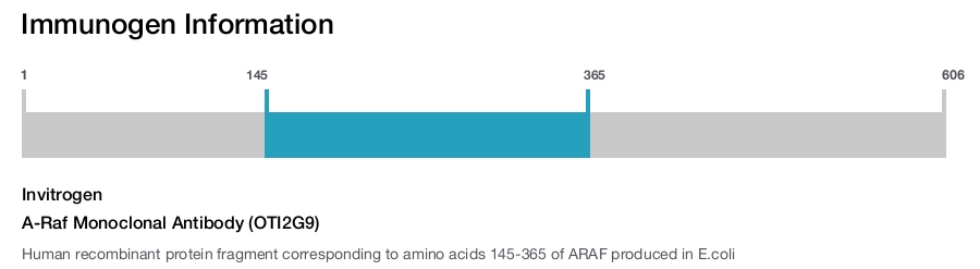 A-Raf Monoclonal Antibody (OTI2G9)