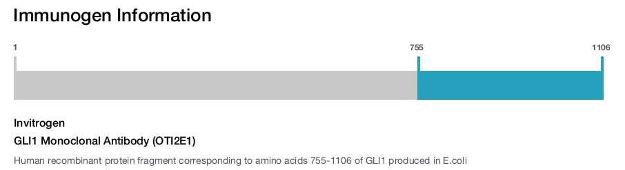 GLI1 Monoclonal Antibody (OTI2E1)