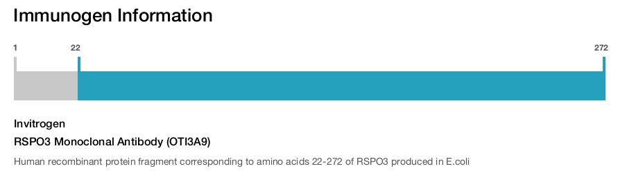 RSPO3 Monoclonal Antibody (OTI3A9)