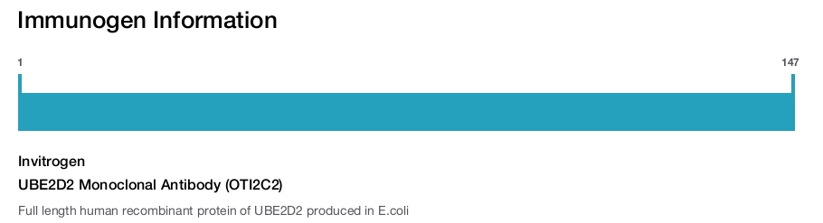 UBE2D2 Monoclonal Antibody (OTI2C2)