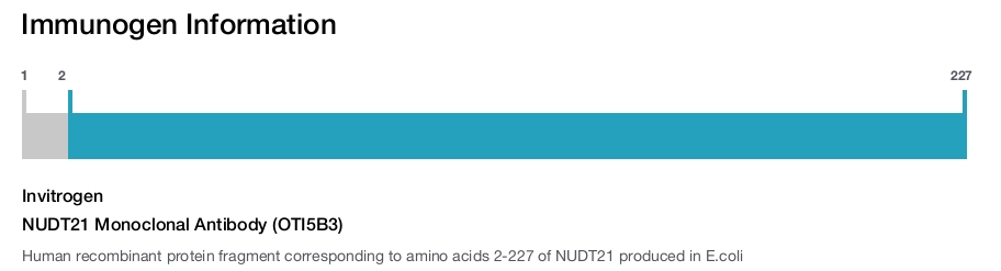 NUDT21 Monoclonal Antibody (OTI5B3)