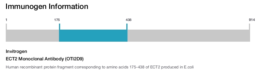 ECT2 Monoclonal Antibody (OTI2D9)