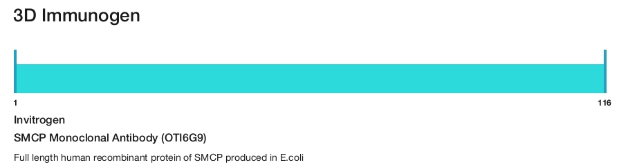 SMCP Monoclonal Antibody (OTI6G9)