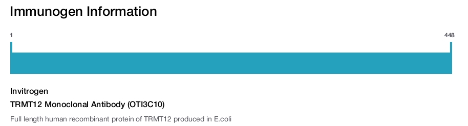 TRMT12 Monoclonal Antibody (OTI3C10)