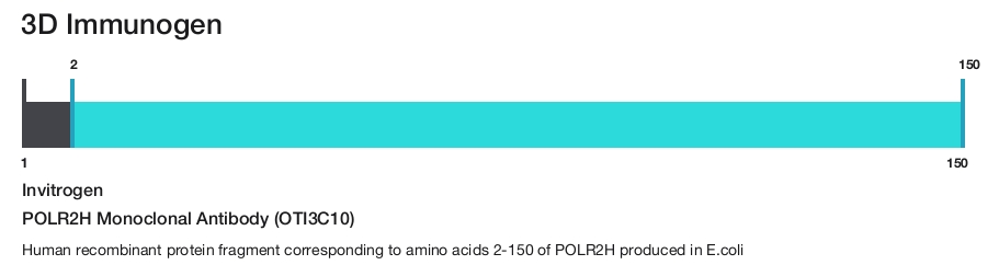 POLR2H Monoclonal Antibody (OTI3C10)