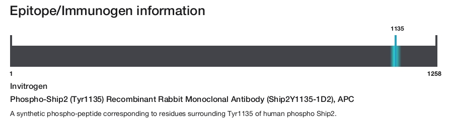 Phospho-Ship2 (Tyr1135) Recombinant Rabbit Monoclonal Antibody (Ship2Y1135-1D2), APC