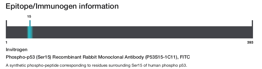Phospho-p53 (Ser15) Recombinant Rabbit Monoclonal Antibody (P53S15-1C11), FITC