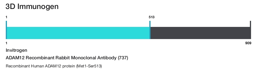 ADAM12 Recombinant Rabbit Monoclonal Antibody (737)