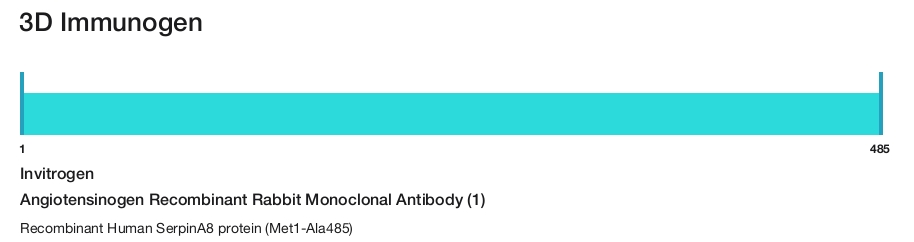 Angiotensinogen Recombinant Rabbit Monoclonal Antibody (1)