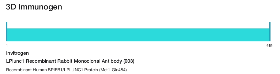 LPlunc1 Recombinant Rabbit Monoclonal Antibody (003)