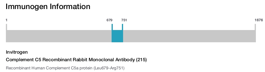 Complement C5 Recombinant Rabbit Monoclonal Antibody (215)