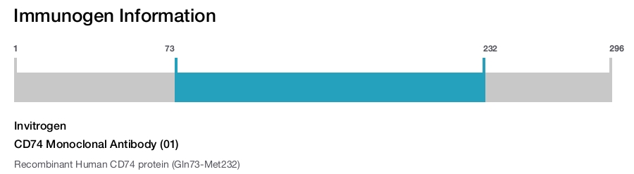 CD74 Monoclonal Antibody (01)