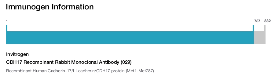 CDH17 Recombinant Rabbit Monoclonal Antibody (029)