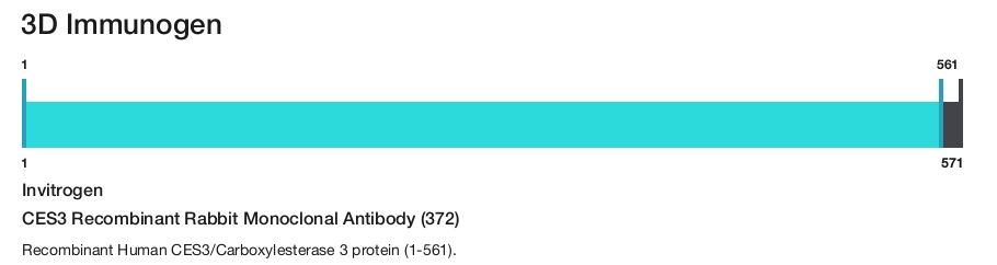 CES3 Recombinant Rabbit Monoclonal Antibody (372)