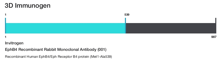 EphB4 Recombinant Rabbit Monoclonal Antibody (001)