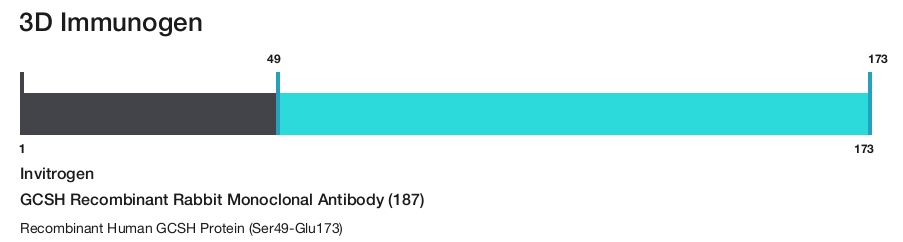 GCSH Recombinant Rabbit Monoclonal Antibody (187)