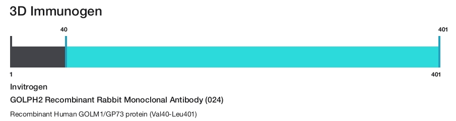 GOLPH2 Recombinant Rabbit Monoclonal Antibody (024)