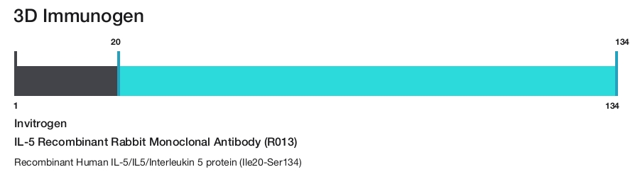 IL-5 Recombinant Rabbit Monoclonal Antibody (R013)