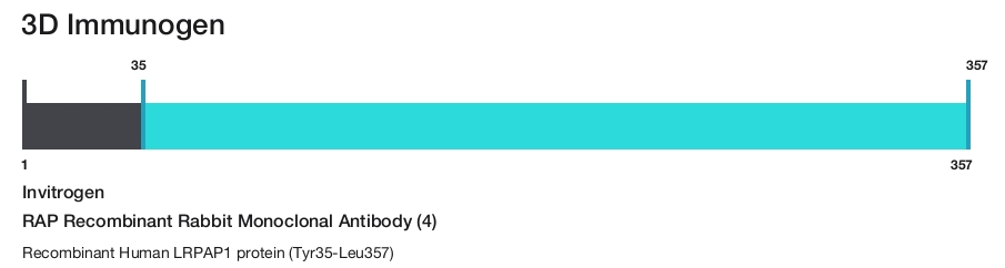 RAP Recombinant Rabbit Monoclonal Antibody (4)