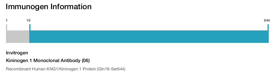 Kininogen 1 Monoclonal Antibody (06)