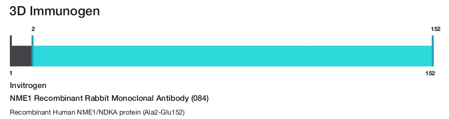 NME1 Recombinant Rabbit Monoclonal Antibody (084)