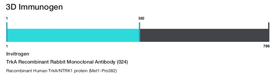 TrkA Recombinant Rabbit Monoclonal Antibody (024)