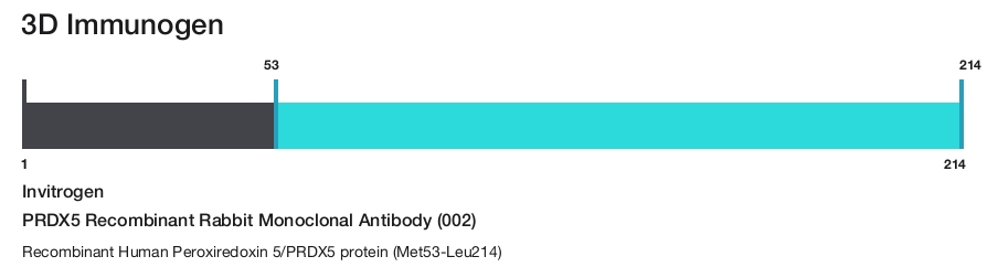 PRDX5 Recombinant Rabbit Monoclonal Antibody (002)