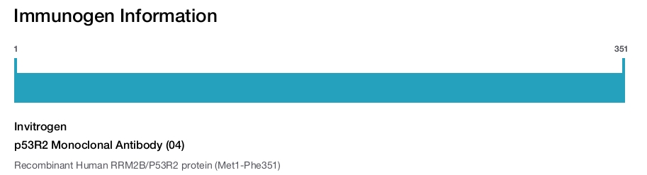 p53R2 Monoclonal Antibody (04)